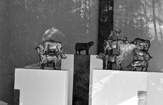 Maitolaiturimuseon kesän 2007 näyttely oli taiteilija Jukka Tuomisen tilateos Pyhä lehmä.